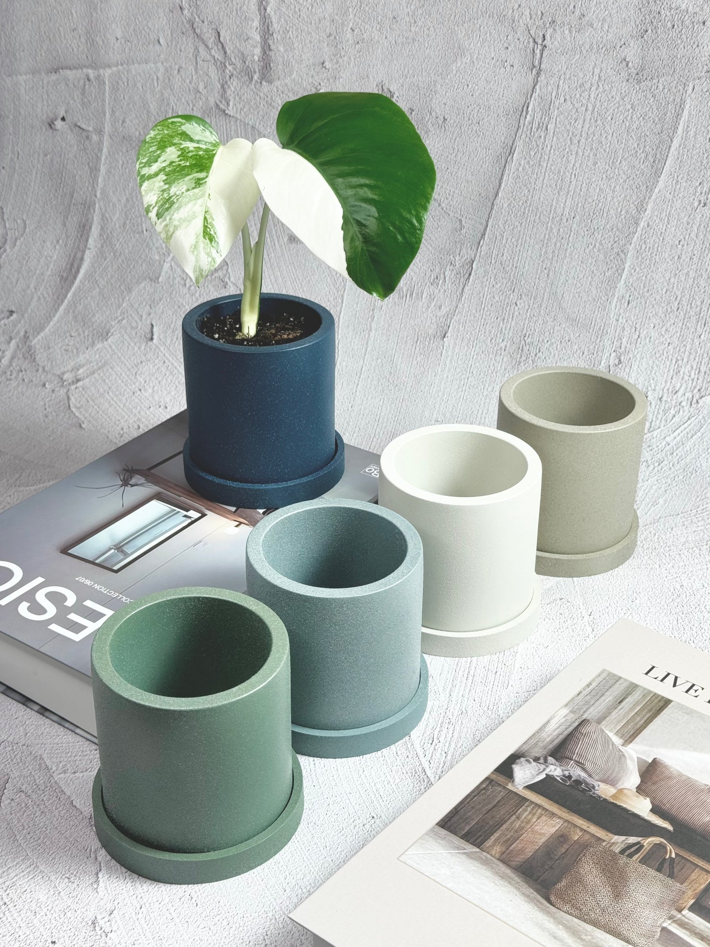Cylindrical Planter with Tray