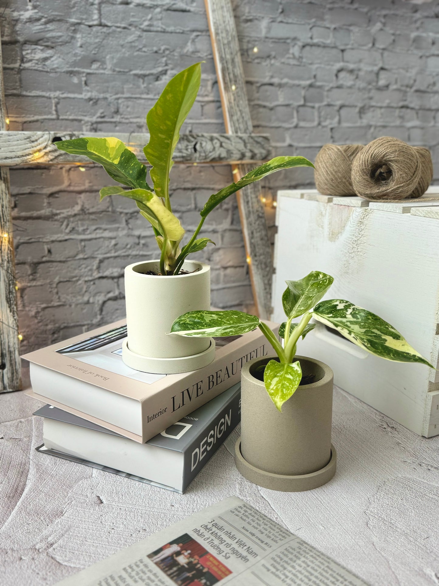 Cylindrical Planter with Tray