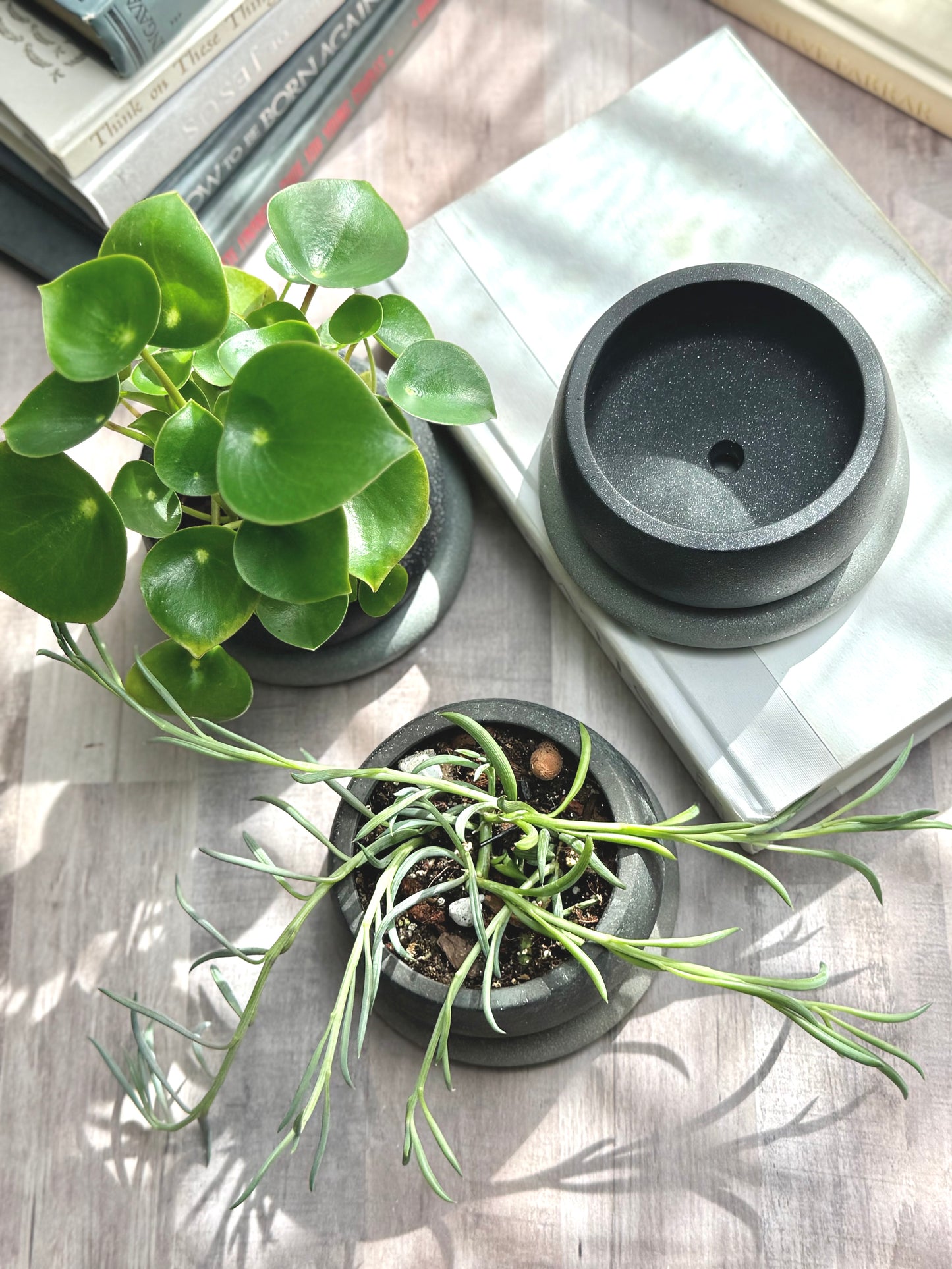 Small Bubble Planter