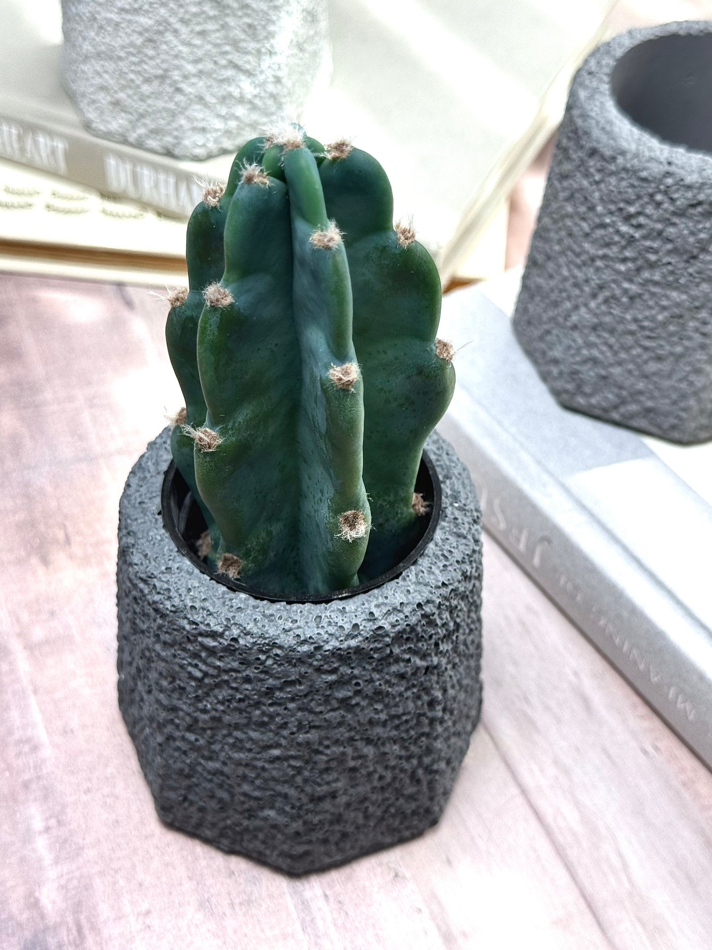 Geometrical Lava Rock Planters