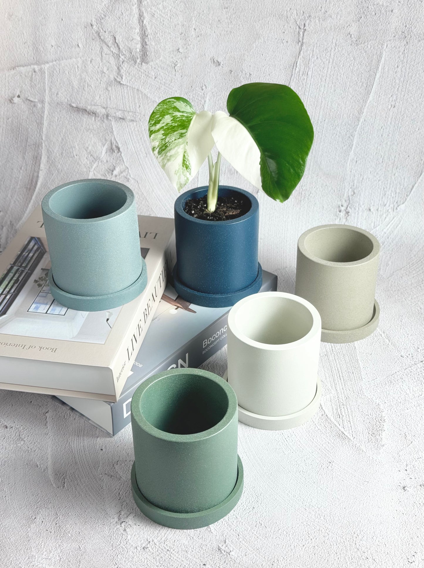 Cylindrical Planter with Tray
