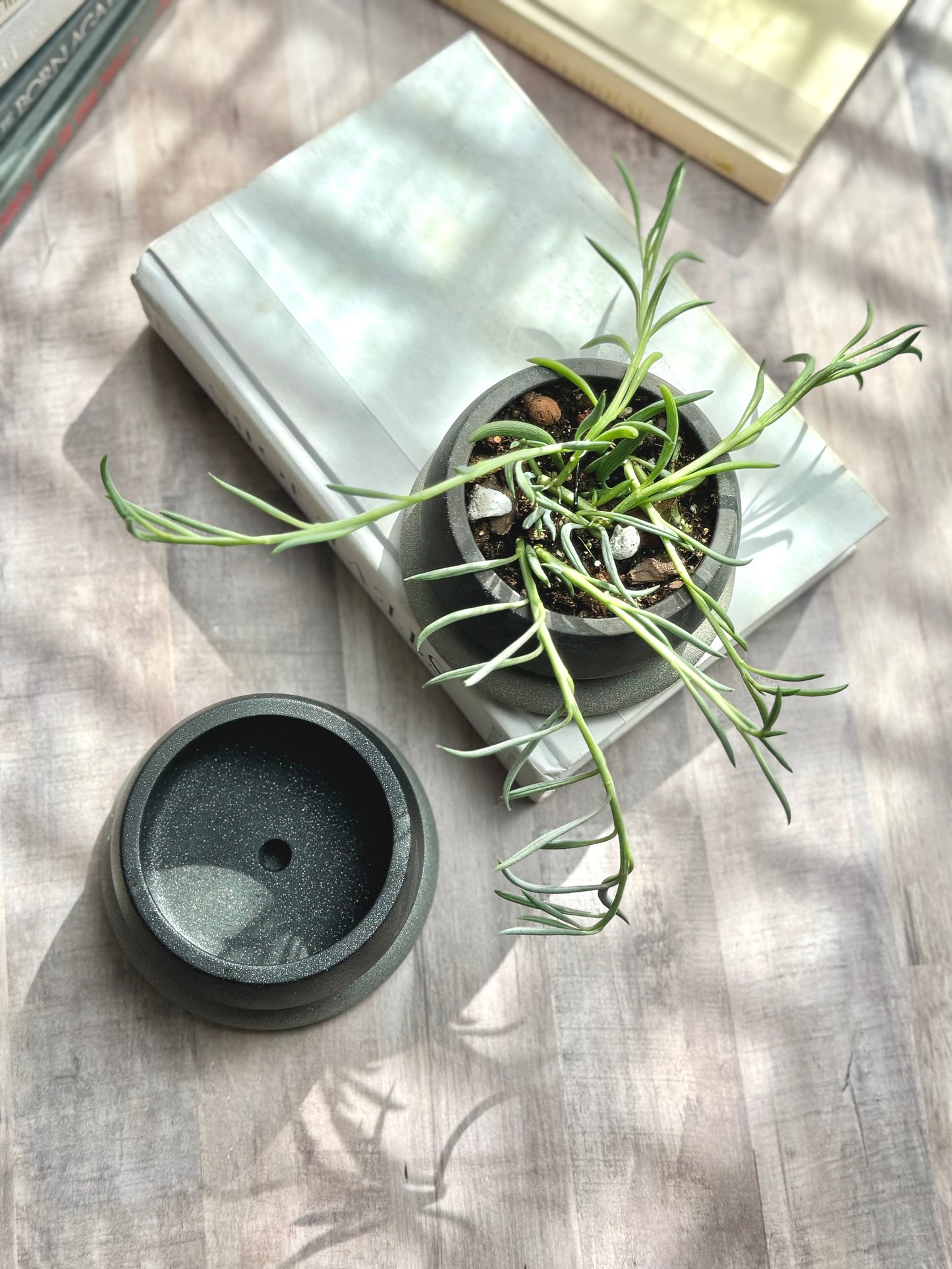 Small Bubble Planter