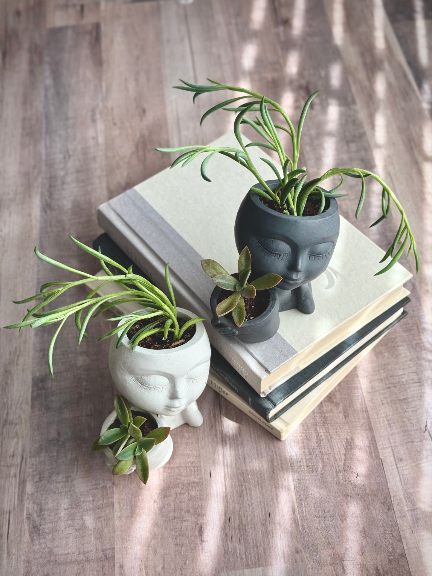 Loving Embrace Planter