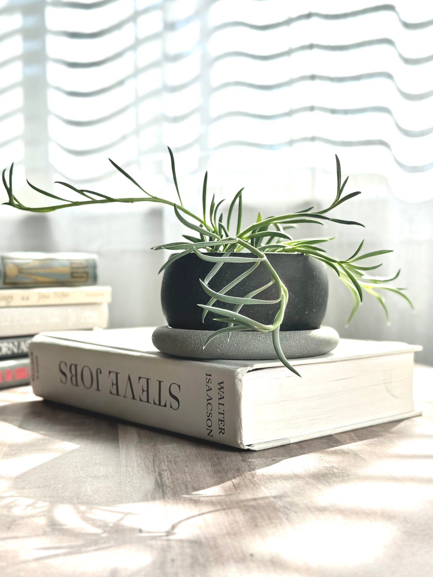 Small Bubble Planter