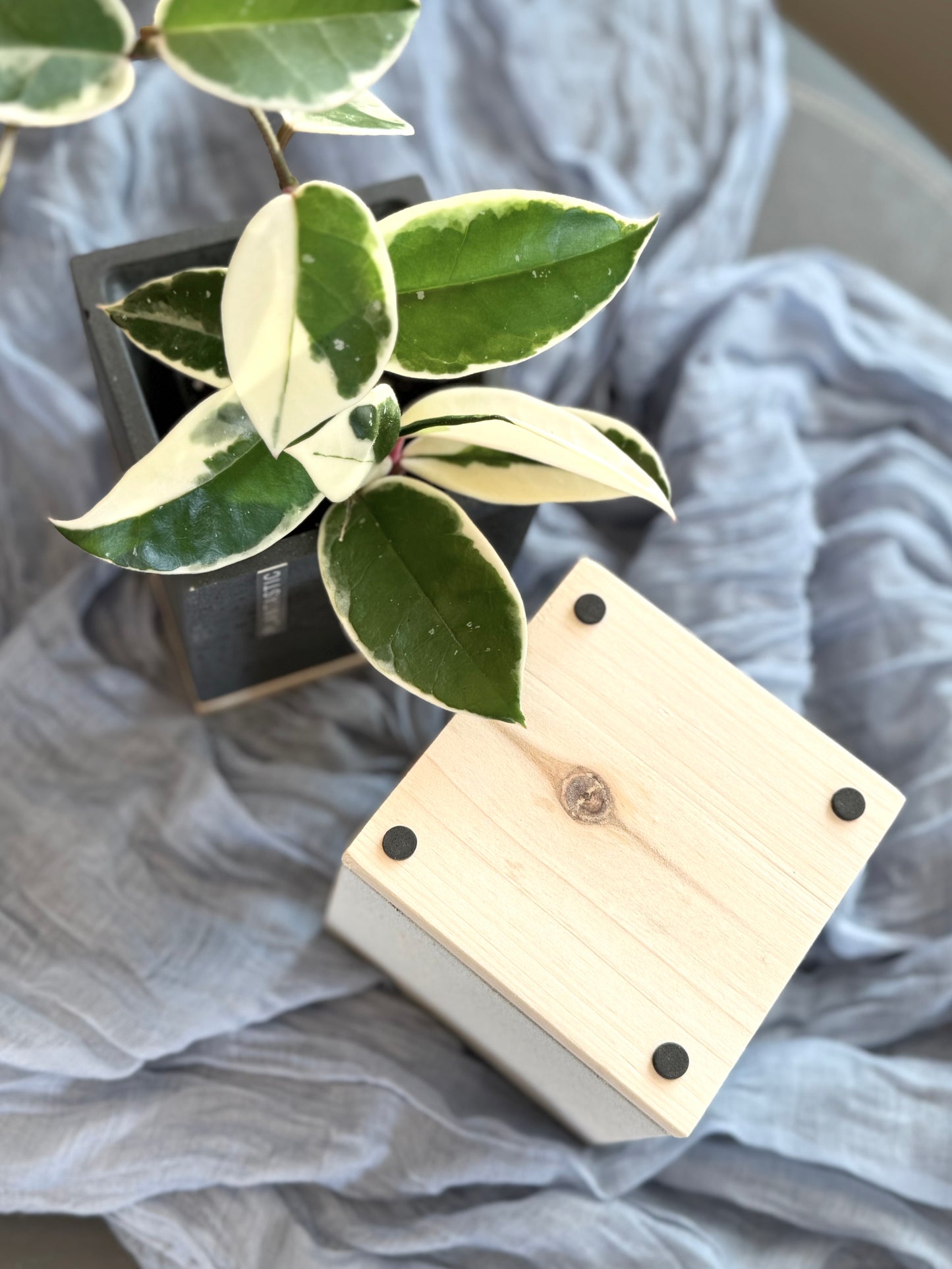 Concrete Cube Planter