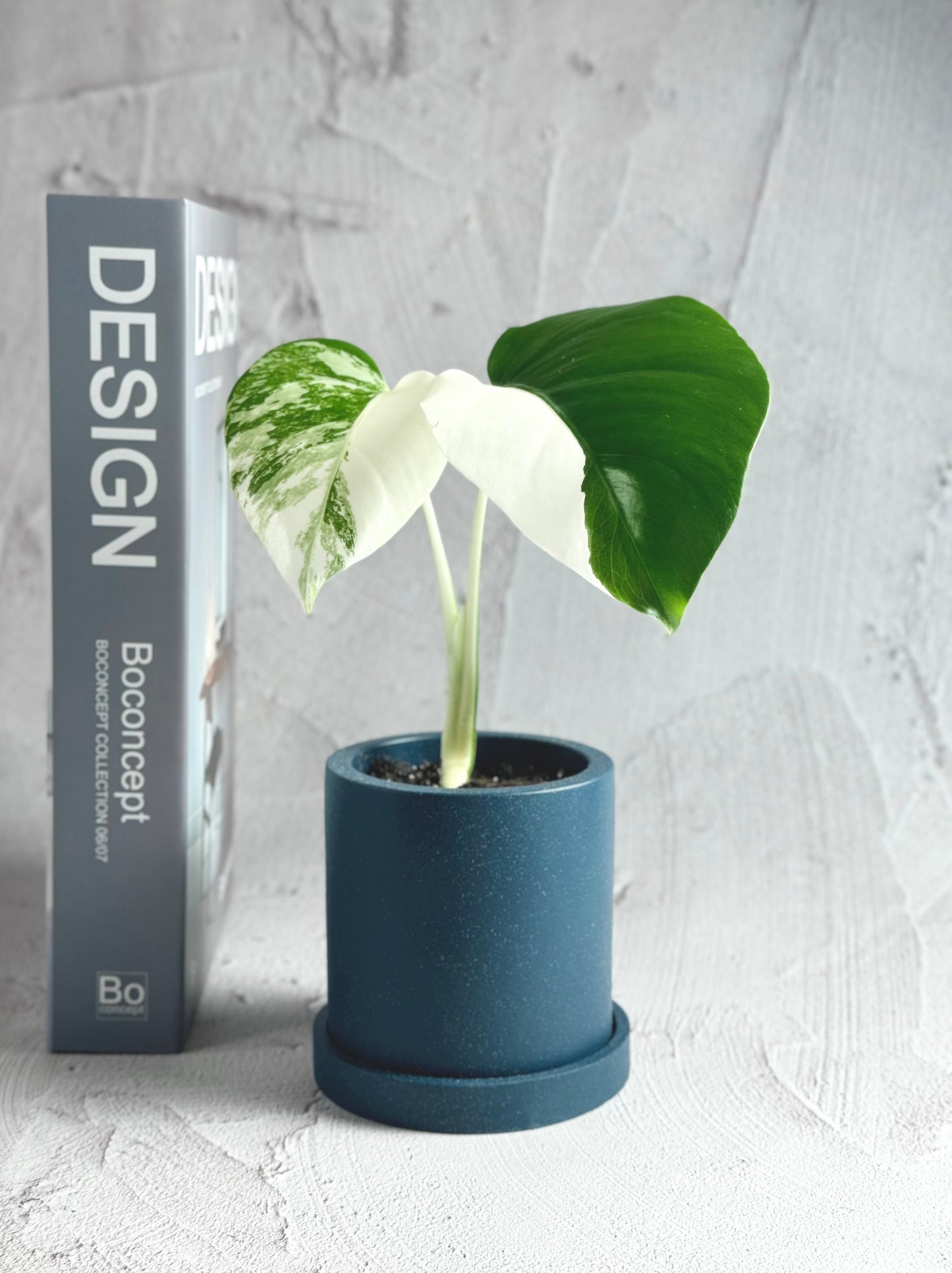 Cylindrical Planter with Tray