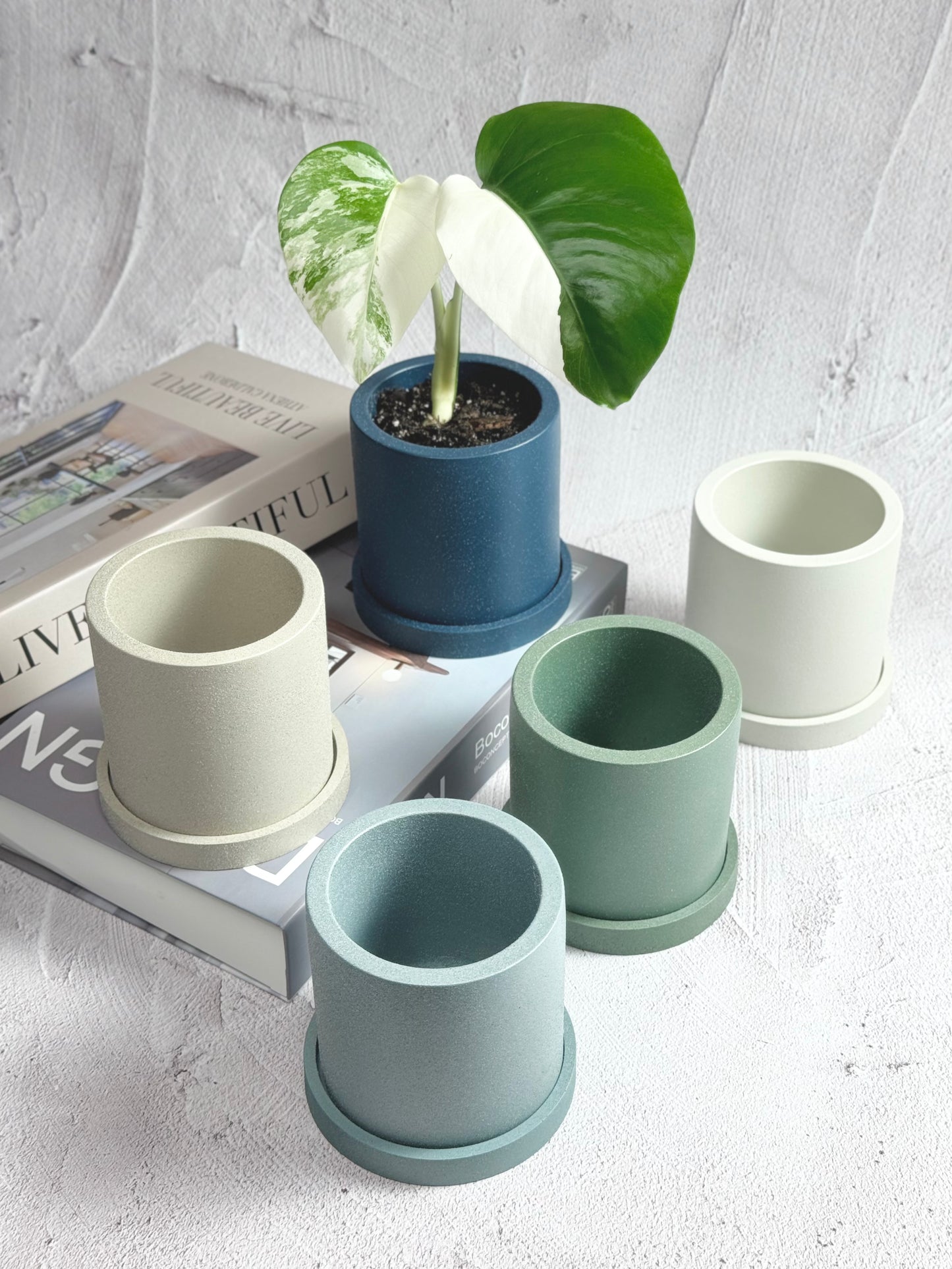 Cylindrical Planter with Tray