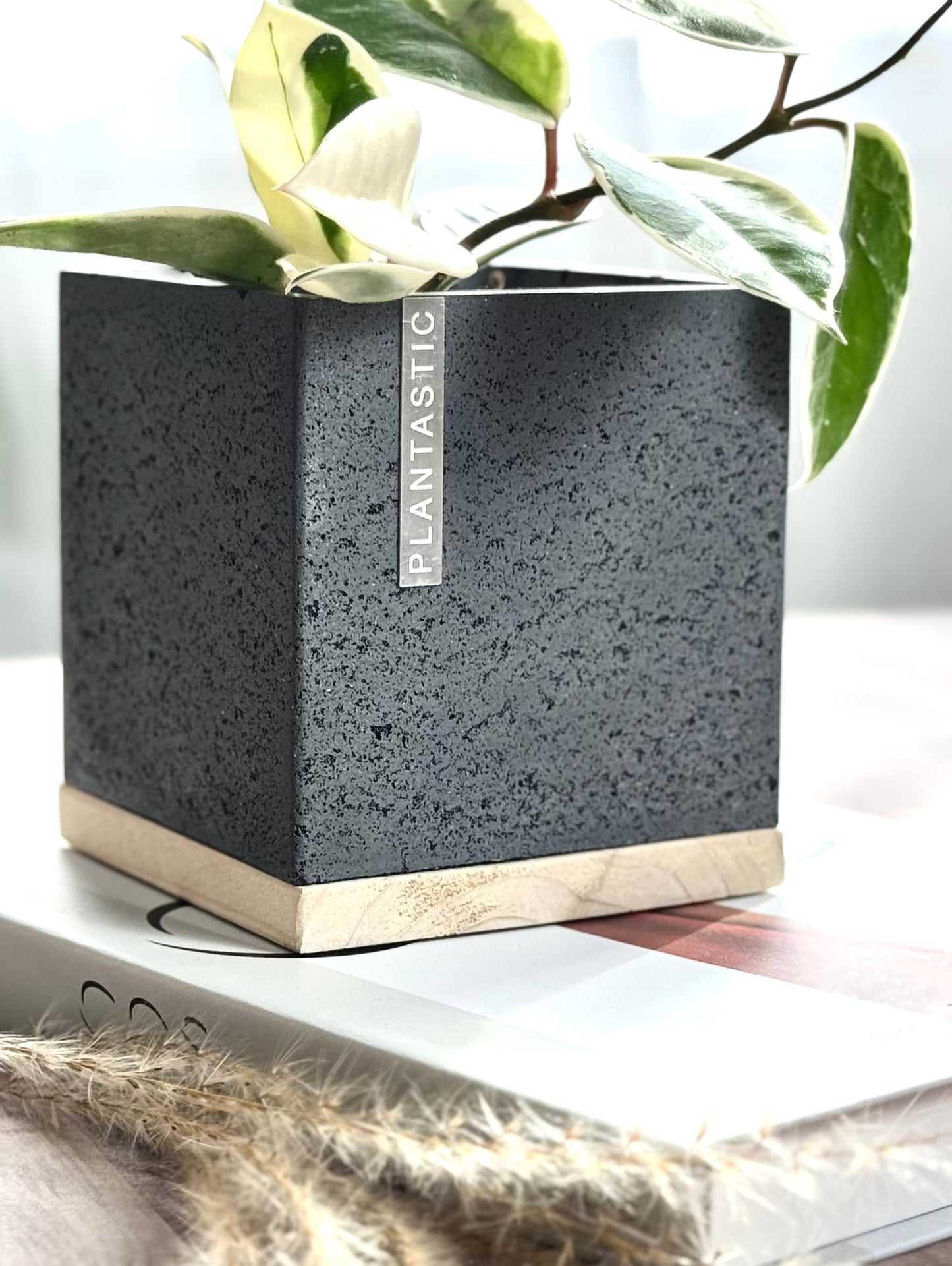 Concrete Cube Planter