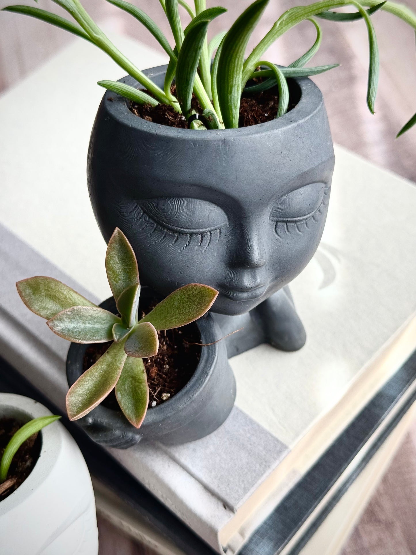 Loving Embrace Planter