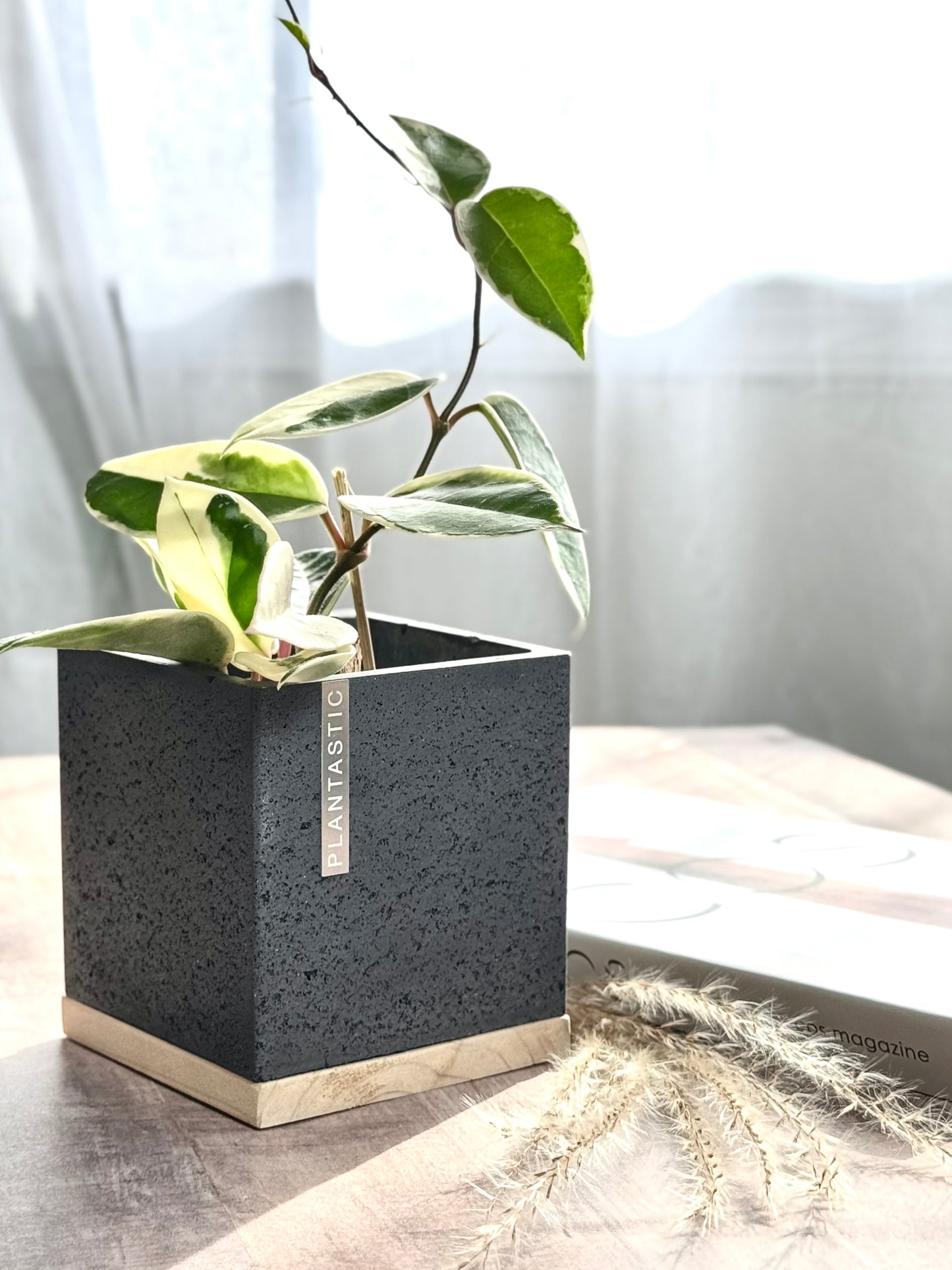 Concrete Cube Planter
