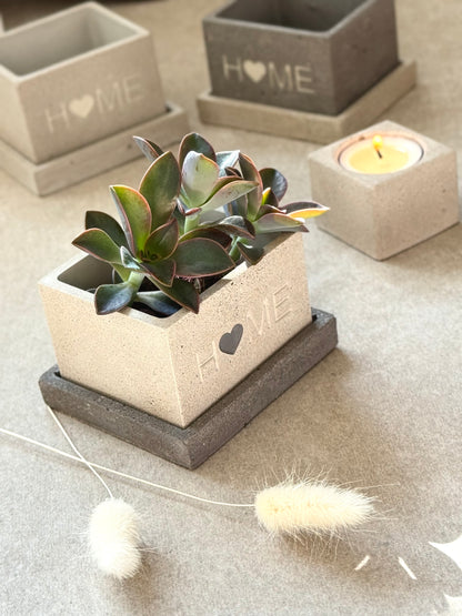 “Home” Concrete Planters