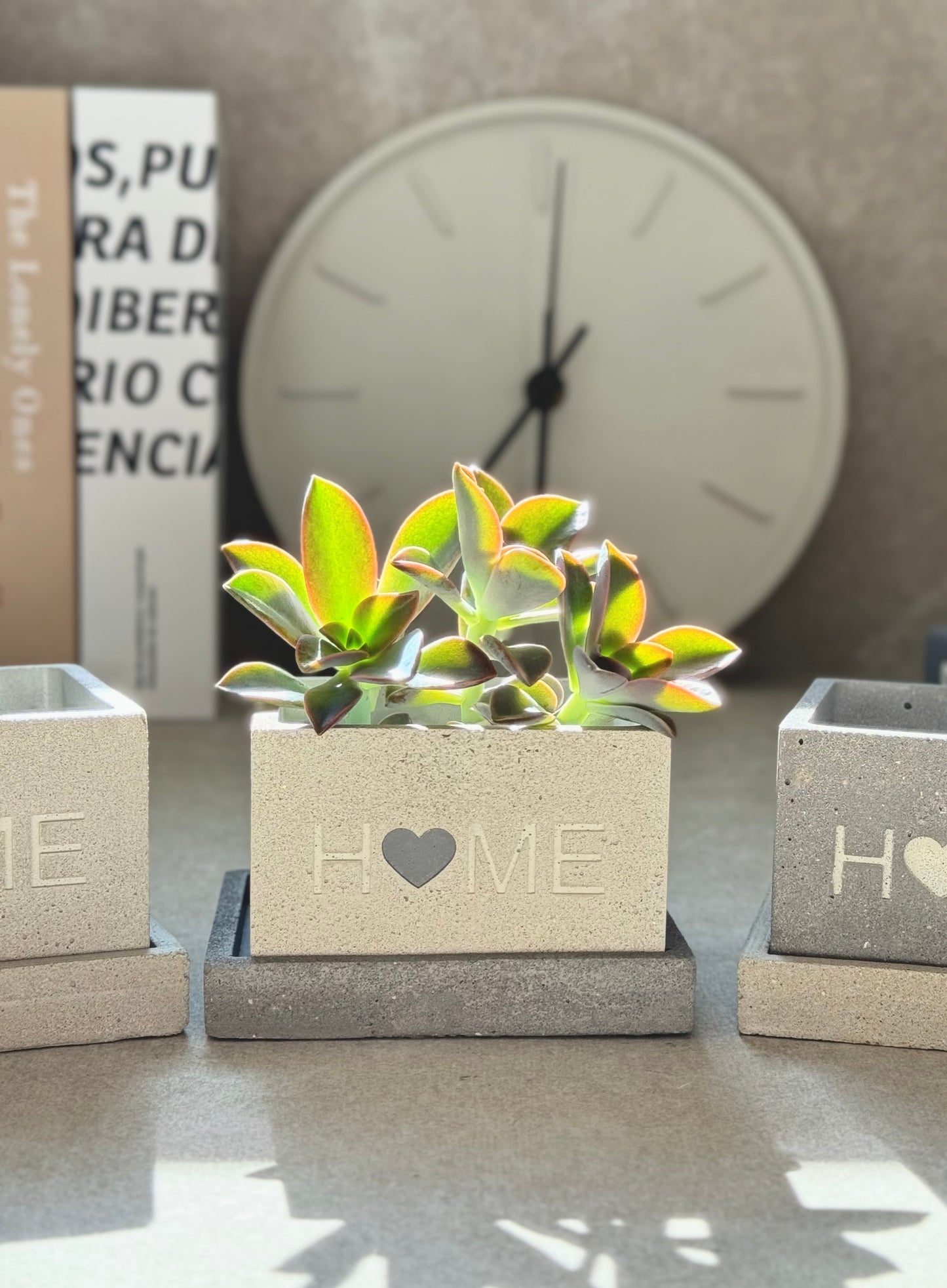 “Home” Concrete Planters