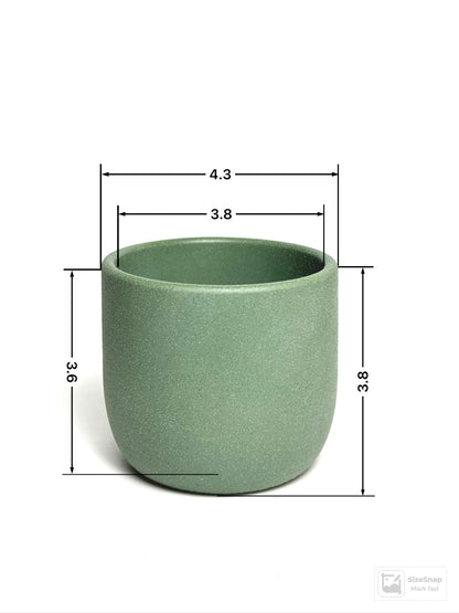 4” Tulip Planter