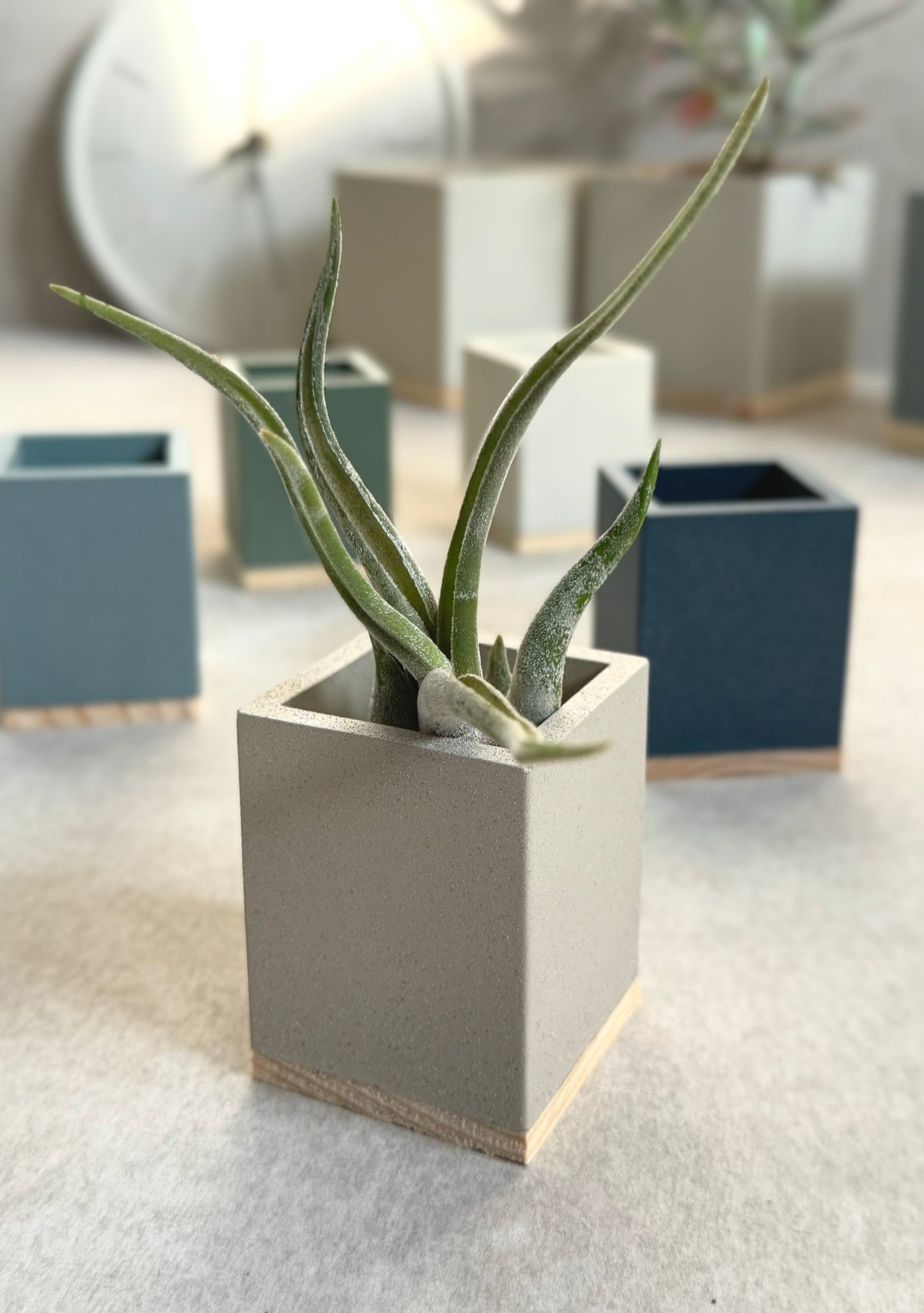 Concrete Cube Planter