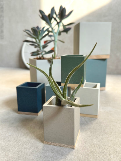 Concrete Cube Planter