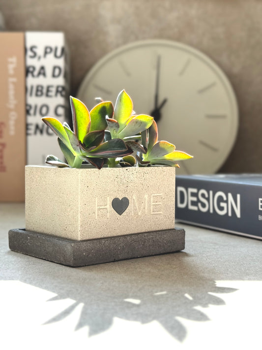 “Home” Concrete Planters