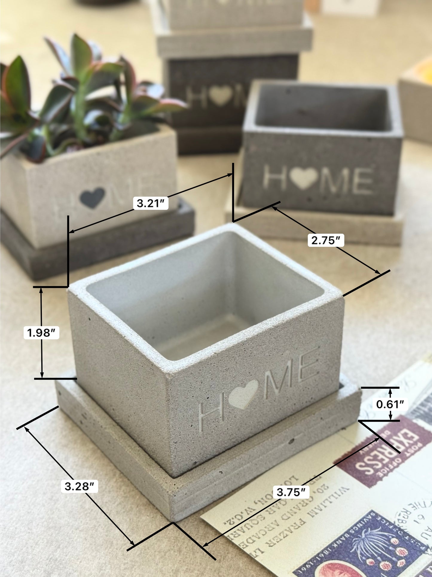 “Home” Concrete Planters