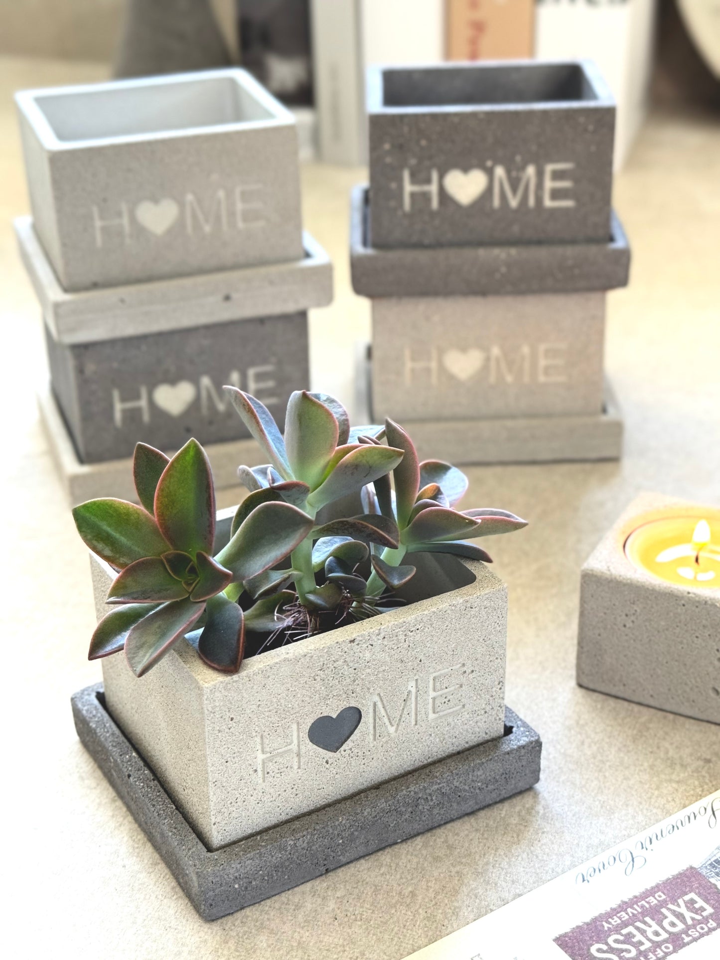 “Home” Concrete Planters